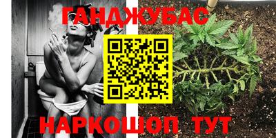 тгк Краснознаменск
