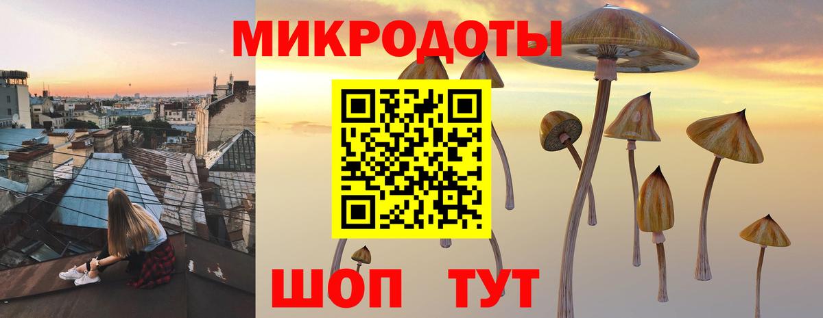 Кемерово  Псилоцибиновые грибы мицелий  Вход с VPN  Псилоцибиновые грибы Cubensis 